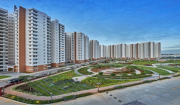 Featured Image of Prestige Southern Star Brochure